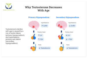 Testosterone Levels by Age: A Comprehensive Guide | Farr Institute ...