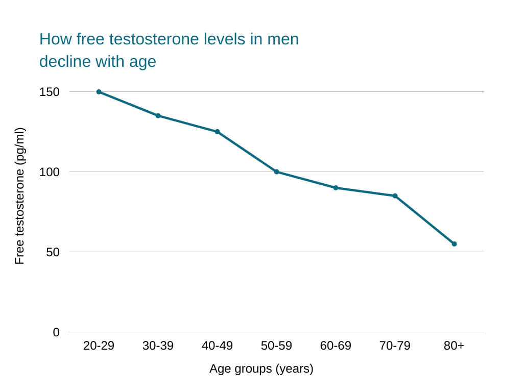 free testosterone How free testosterone levels in men decline with age