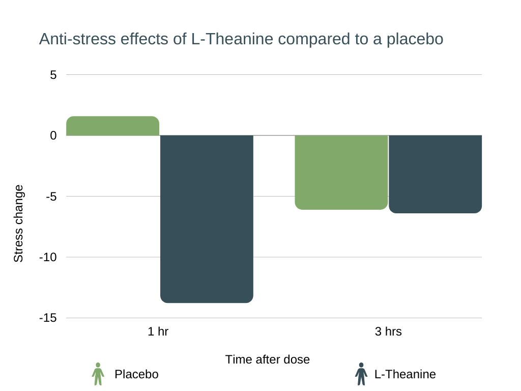 l-theanine weight loss and memory boost Anti-stress effects of L-Theanine compared to a placebo