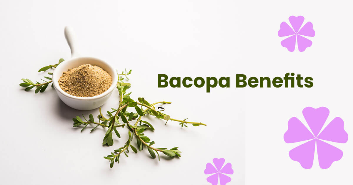 Bacopa Benefits