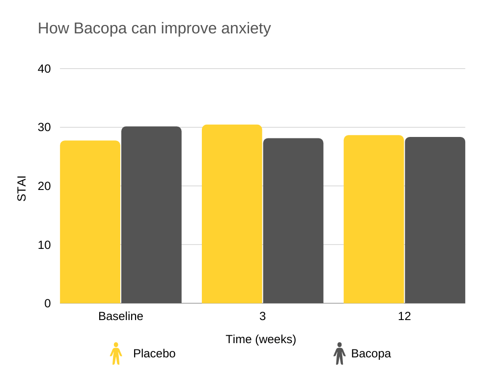 bacopa benefits How Bacopa can improve anxiety