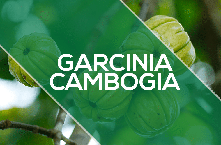 Can Garcinia Cambogia Extract Help With Weight Loss?